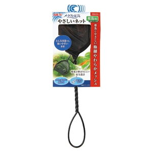 GEX WFbNX _JC ₳lbg tp