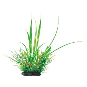 GEX WFbNX i MIXvc M VyX M