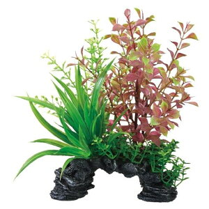 GEX WFbNX i MIXvc ~jA[` bh^