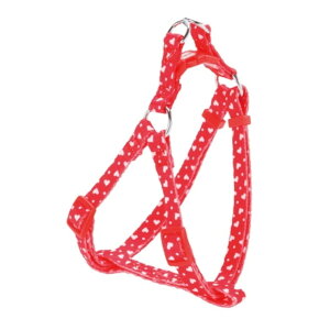 yeBI ARFashion n[ghbgn[lX SSTCY bh