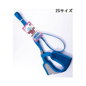 [p]A[XEybg fjqbR[֕t[h 2S 