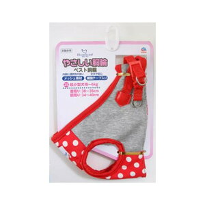 [p]A[XEybg |JhbgxXg 2S 