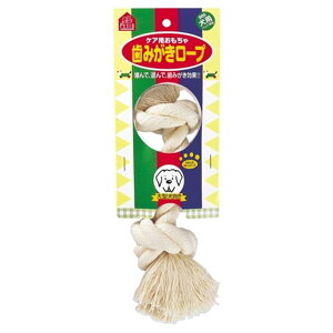 yeBI ̂᎕݂[v L^p
