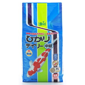 L[ ЂfC[() [Sh{̍iьp(aEGT)] 4kg