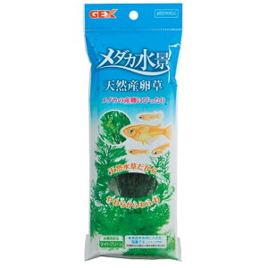 GEX WFbNX _Ji VRY [vcANZT[]