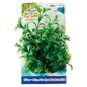 GEX WFbNX i ՂnCOtB [vcANZT[]