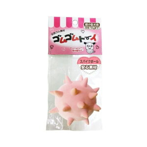 A[XEybg hbOgC SSg[C [ p ] XpCN{[