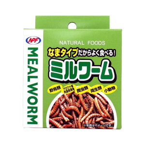 i`ybgt[Y ~[ [⏕H 쒹 Ai HMы ঒  ] 35g