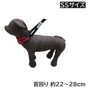 JmY ͂߂Ă̂ (SSTCY) o_i [ hbO   ^] MP2001R 