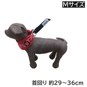 JmY ͂߂Ă̂ (STCY) o_i [ hbO   ^] MP2002R 