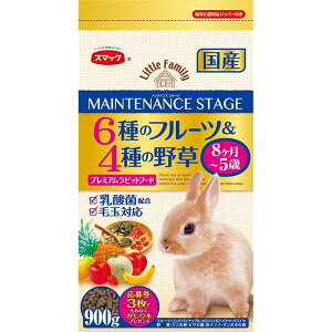 X}bN eiXXe[W 6̃t[c4̖쑐 [ GT `V[@At@t@ _] 900g