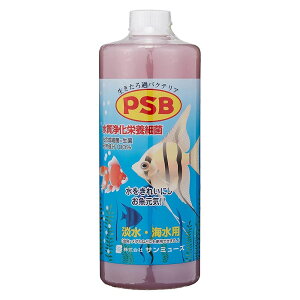 T~[Y PSB ߃oNeA WECp [򉻉h{׋ ׋] 1000ml