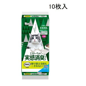 GXe[ybg LV[g 10 [Lp VXegCp V[c] 10