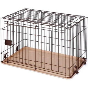 }J thT[NXChhAMVʃtFXt [p P[W nEX] DP-462