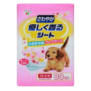 TmebN ₩DV[g ChTCY(44×59cm) [ybg  gC tOX] 80