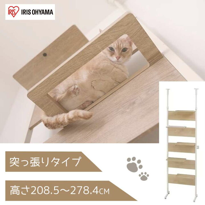 楽天市場】アイリスオーヤマ キャットステップ 高さ208.5〜278.4cm 
