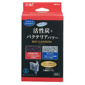 GEX WFbNX xXgJ oCIJ[{ [ybg Ϗ܋  ߍ] 10ܓ