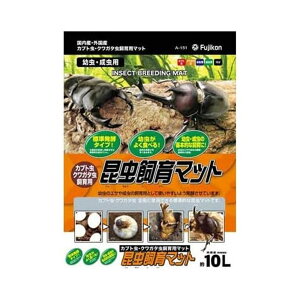 tWR }bg cEp [}bg JugV NK^V] 10L yll2_z