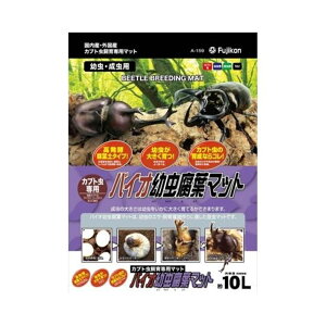 tWR oCIct}bg cEp [}bg JugVp] 10L yll2_z