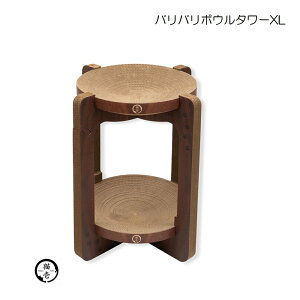 L(necoichi) oo{E^[XL [Lpi ܂Ƃ ߂Ƃ lR _{[ ؖڒ Vv 킢] _[NuE