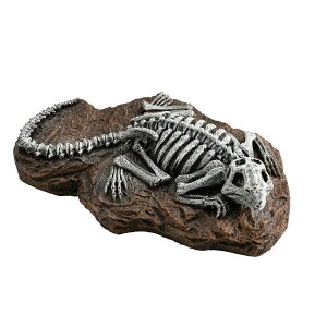 ybgCu[ aquaneru ANAEI[ig gJQ̉ [pi Ϗ܋ Mы ]