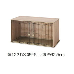 ACXI[} i`t@j`[ybgT[N i` [pi P[W hbOT[N ] NFPC-1200 [qlgi] yZz
