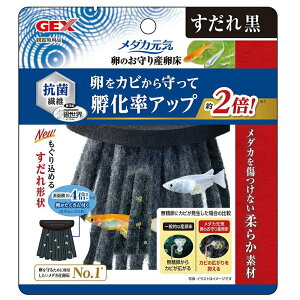 GEX(WFbNX) _JC ̂Y  [߂ t  琬 ɐB]