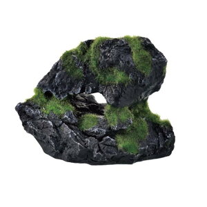 GEX(WFbNX) i XbN Cave [ANAEpi  RPt eE B ]