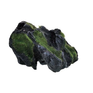 GEX(WFbNX) i XbN Hide [ANAEpi  RPt eE B ]