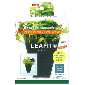 GEX(WFbNX) [tBbg S [ANAEpi  琬 ȒP ]