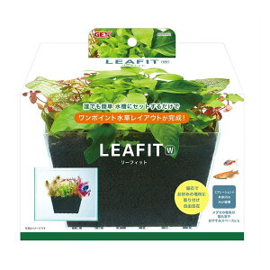 GEX(WFbNX) [tBbg W [ANAEpi  琬 ȒP ]