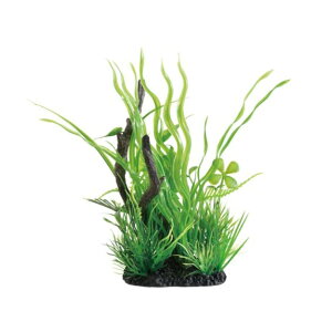 GEX(WFbNX) i MIXvc Ebh oXlA [ANAEpi ANZT[ lH]