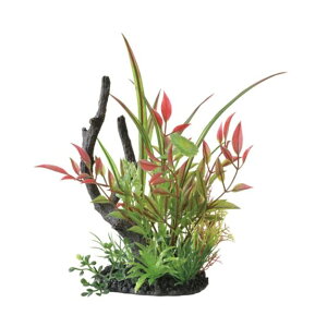 GEX(WFbNX) i MIXvc Ebh hEBWA [ANAEpi ANZT[ lH]