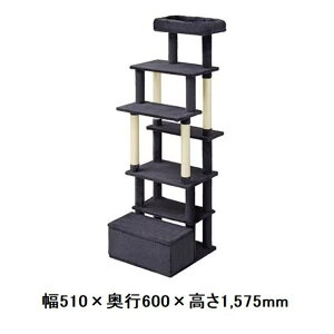 ���i�摜