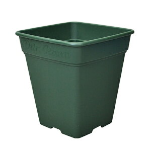 AbvEFA[ [AXNGA[| A o KN] 260^ O[