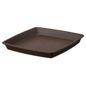 AbvEFA[ NtgXNGAv[g 25^ _[NuE