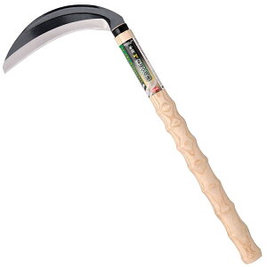 ؉ EFCr[Obv   #144003