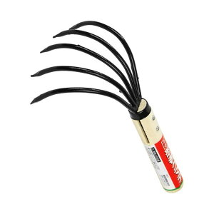 g E N}f [F ܂  L̂] 5{