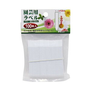 ZteB[3 |px񂴂100 [|p x v[g A  O ܂] 60mm