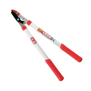 g pCv ~j } [| |p  }  ͂ y v] SGFL-1