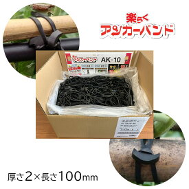 【6/4 20:00～6/11 01:59 エントリーでポイント10倍】KAPI.S 楽らくアンカーバンド 折径100mm (3kg) [結束 誘引 ゴム 農作業 束ねる 固定 丈夫 屋外 多様] AK10-3K