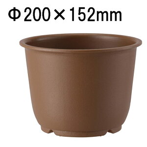 AbvEFA[  ֌^ [| Aؔ v^[ ϗtA] 7 