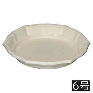 AbvEFA[ X^Cv[g 6 [| K[fjO M M 󂯎M] zCg