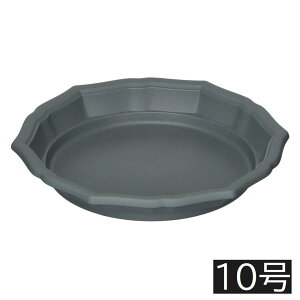 AbvEFA[ X^Cv[g 10 [| K[fjO M M 󂯎M] _[NO[