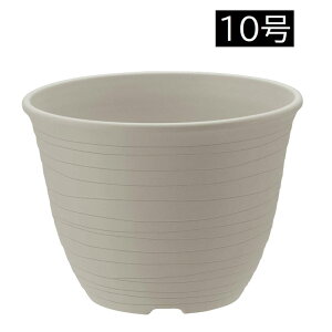 b`F GR |bg 10 [| K[fjO Aؔ v^[] zCg(W)