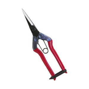 ߐ  [|p |nT~ nT~ ] T-550