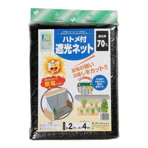 N[N ngt Ռlbg 2m×4m [ Jbg Albg A |] ubN