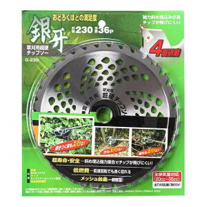 ŃMl  pd`bv\[ 230mm×36P [@ @ n ֐n  ] G-230