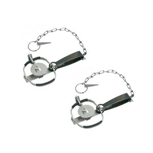 hH hqY gbv Ctype 2 No.101 [^p goT~ ߊl pi  ˂] NZ-1