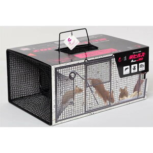 y񂹁zhH hqY ߊl Atype No.102 [^p pi  ncJlY~] NZ-2